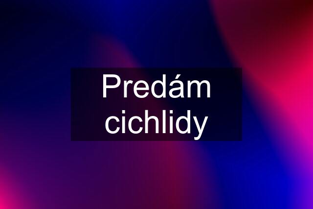 Predám cichlidy