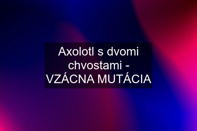 Axolotl s dvomi chvostami - VZÁCNA MUTÁCIA