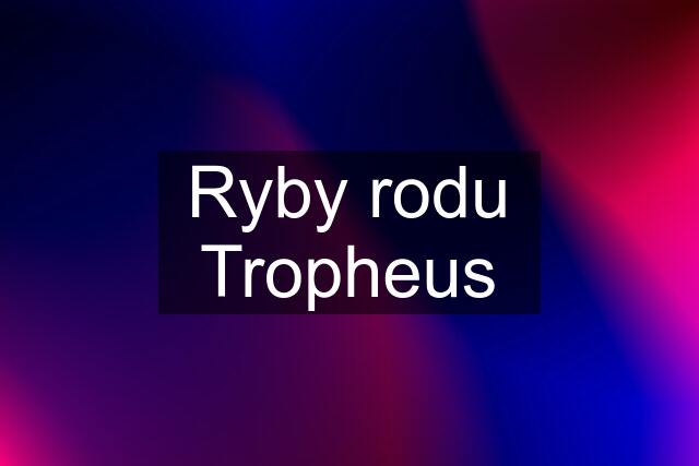 Ryby rodu Tropheus