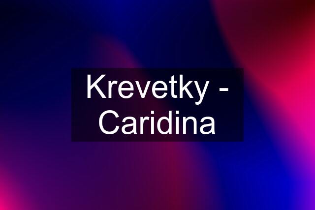 Krevetky - Caridina