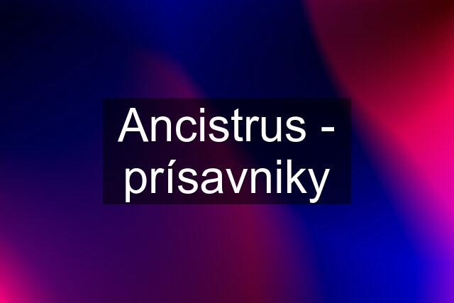 Ancistrus - prísavniky