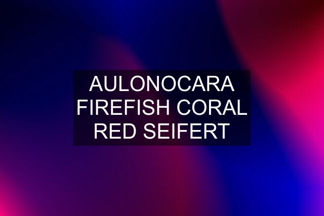 AULONOCARA FIREFISH CORAL RED SEIFERT