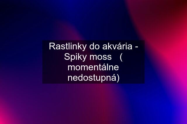 Rastlinky do akvária - Spiky moss   ( momentálne nedostupná)