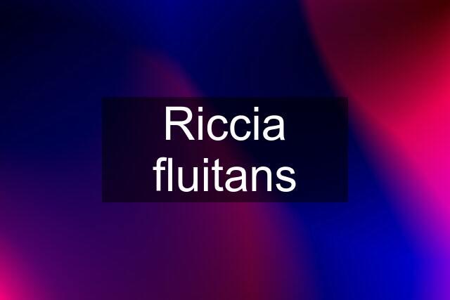 Riccia fluitans