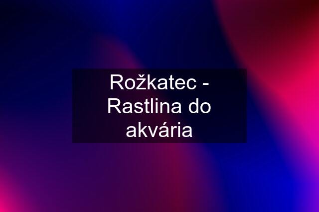 Rožkatec - Rastlina do akvária