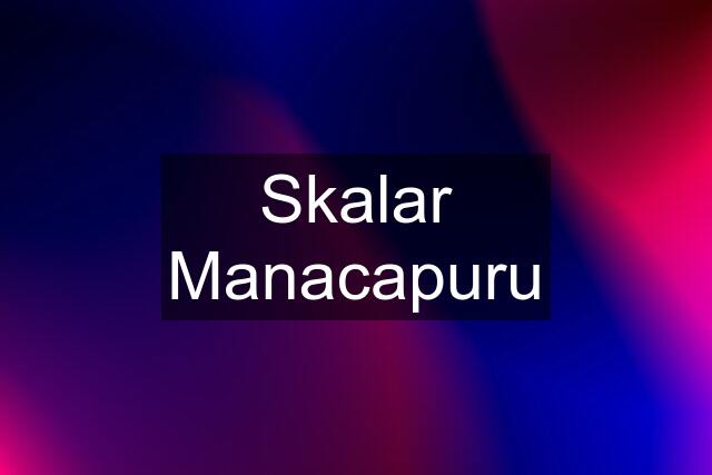 Skalar Manacapuru