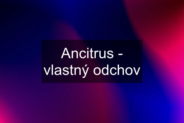 Ancitrus - vlastný odchov