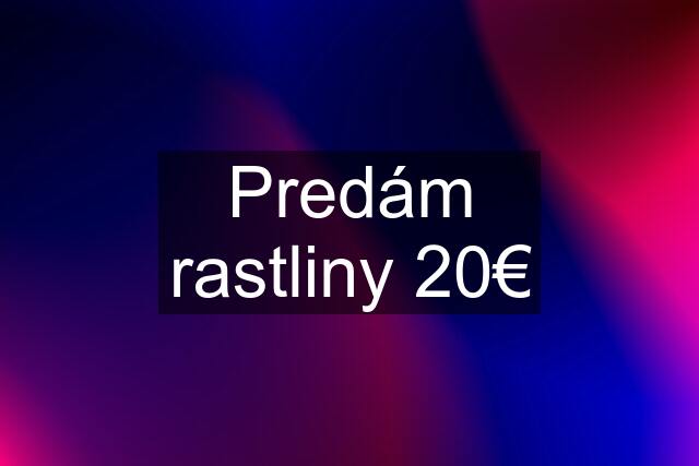 Predám rastliny 20€