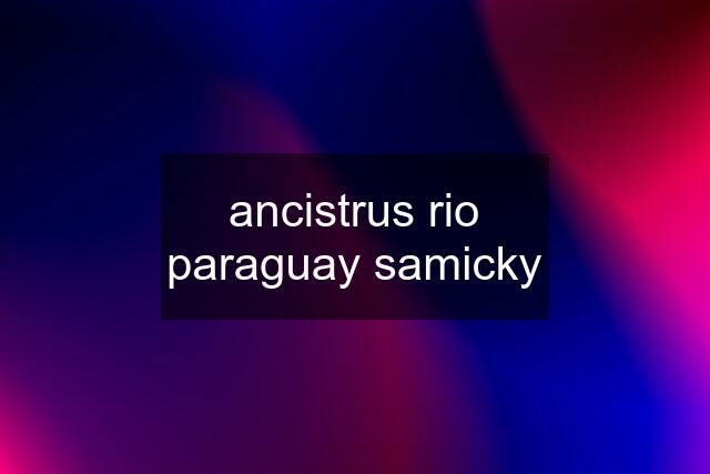 ancistrus rio paraguay samicky