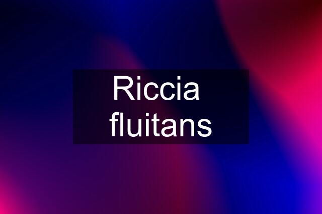 Riccia  fluitans