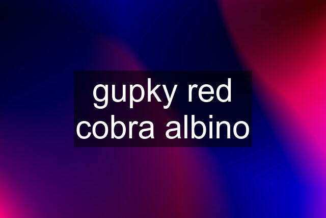 gupky red cobra albino