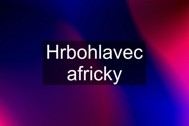 Hrbohlavec africky