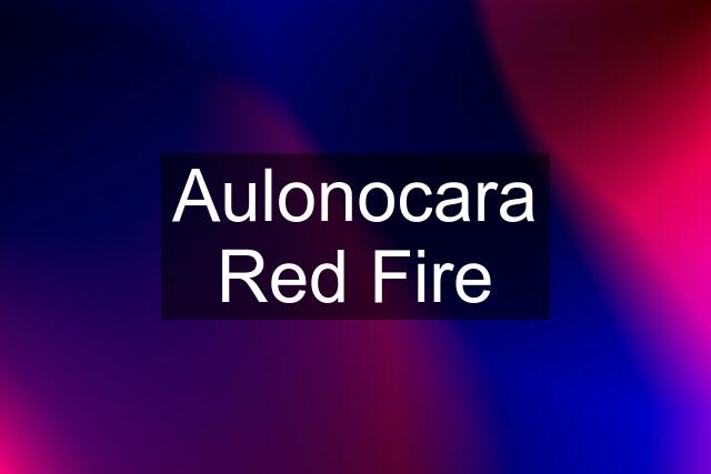 Aulonocara Red Fire