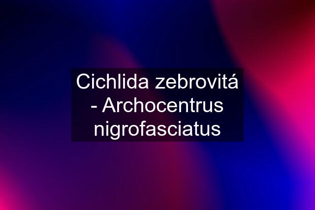 Cichlida zebrovitá - Archocentrus nigrofasciatus