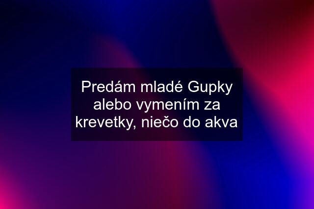 Predám mladé Gupky alebo vymením za krevetky, niečo do akva