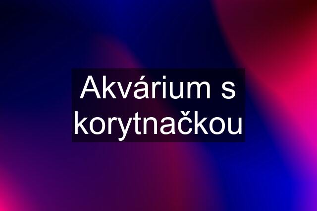 Akvárium s korytnačkou