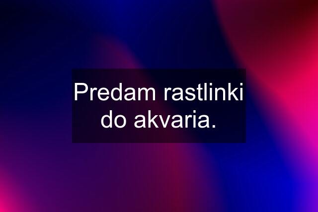 Predam rastlinki do akvaria.