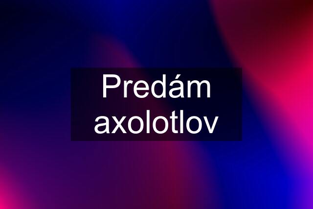 Predám axolotlov