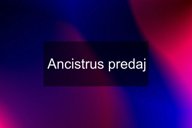 Ancistrus predaj