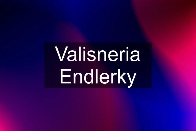 Valisneria Endlerky