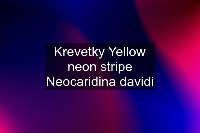 Krevetky Yellow neon stripe Neocaridina davidi