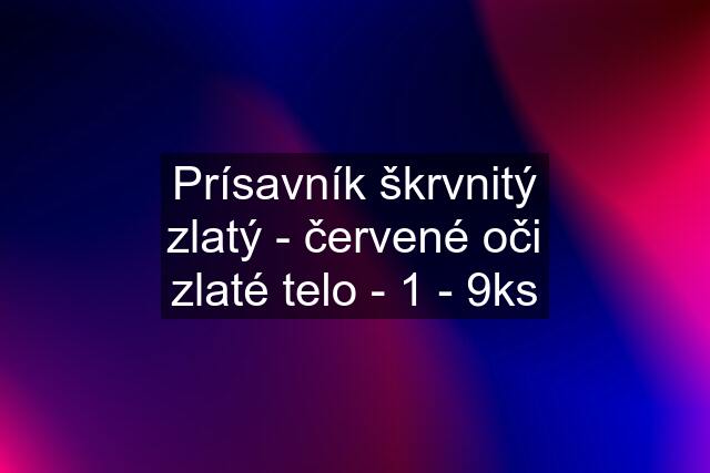 Prísavník škrvnitý zlatý - červené oči zlaté telo - 1 - 9ks