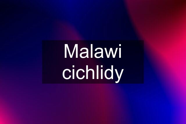 Malawi cichlidy