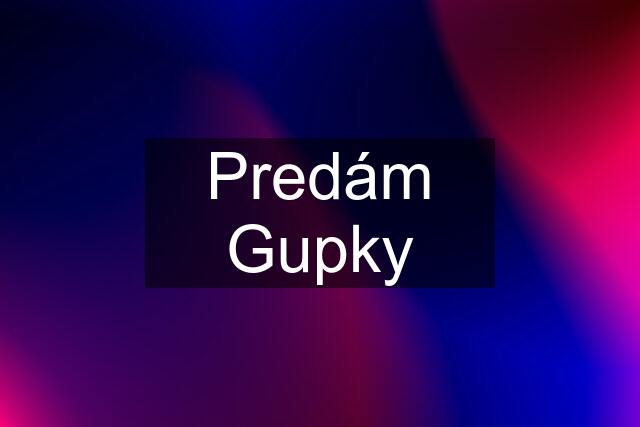 Predám Gupky