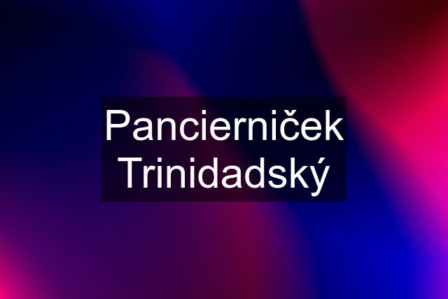 Pancierniček Trinidadský