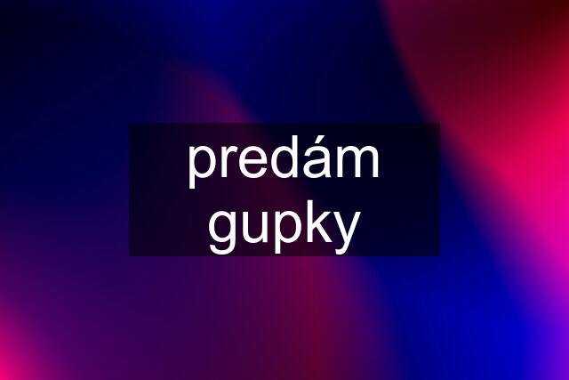 predám gupky