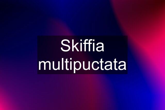 Skiffia multipuctata