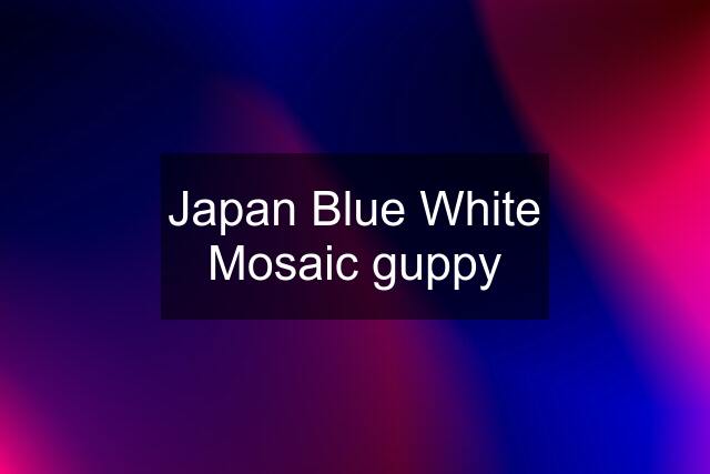 Japan Blue White Mosaic guppy