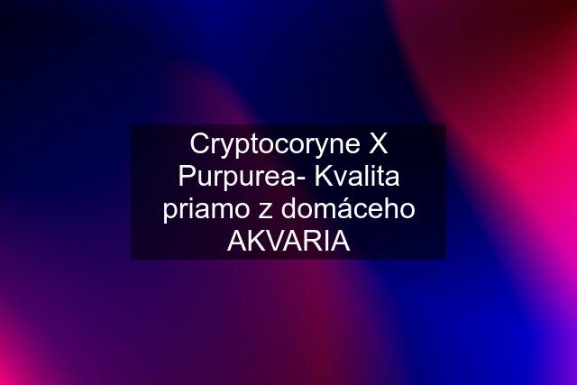 Cryptocoryne X Purpurea- Kvalita priamo z domáceho AKVARIA