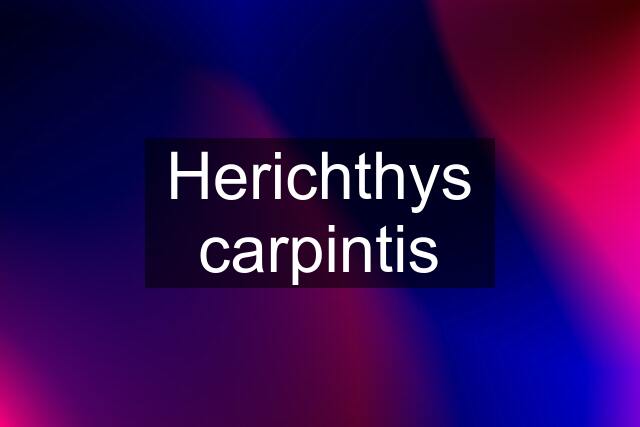 Herichthys carpintis