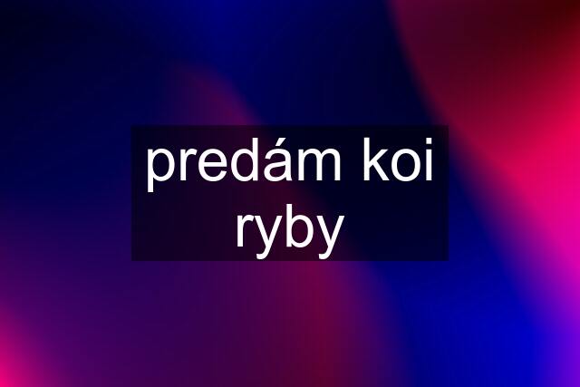 predám koi ryby