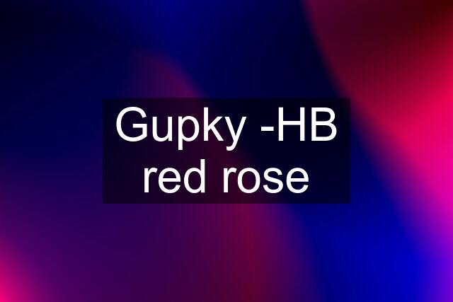 Gupky -HB red rose