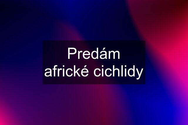 Predám africké cichlidy