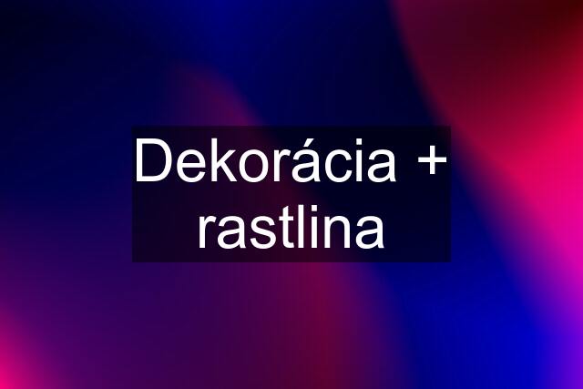 Dekorácia + rastlina