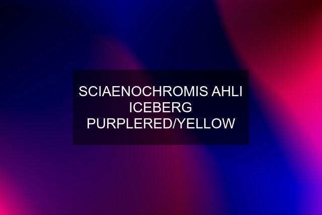 SCIAENOCHROMIS AHLI ICEBERG PURPLERED/YELLOW