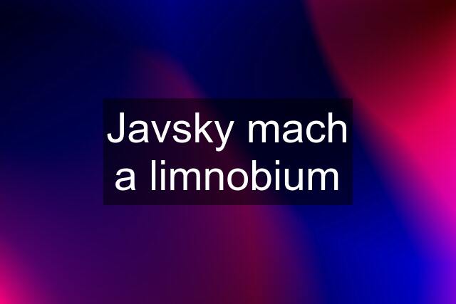 Javsky mach a limnobium