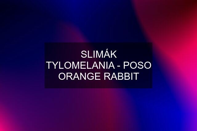 SLIMÁK TYLOMELANIA - POSO ORANGE RABBIT