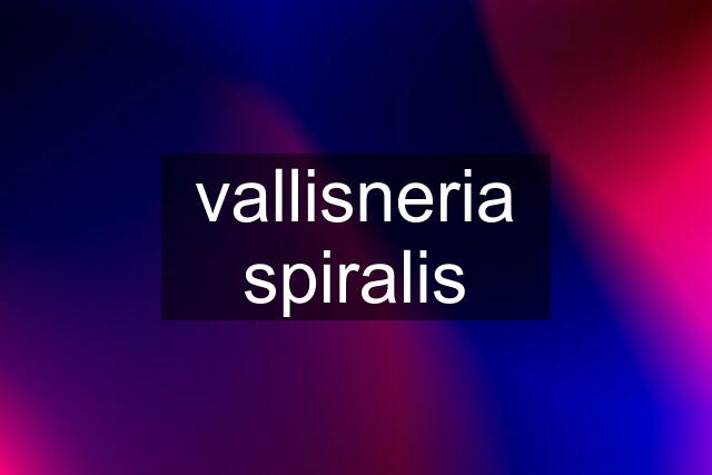 vallisneria spiralis