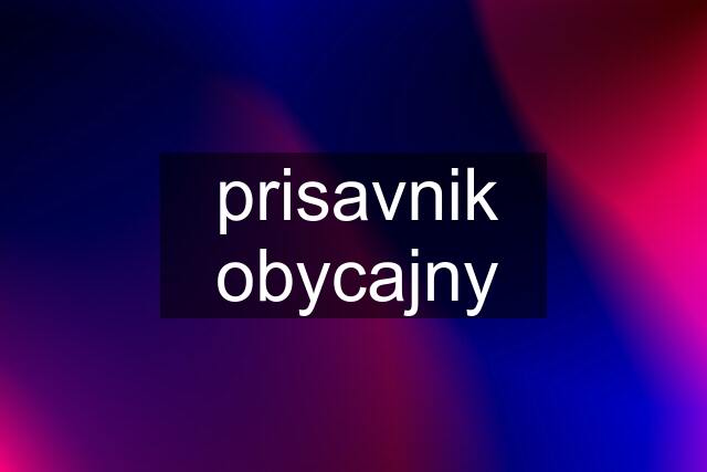 prisavnik obycajny