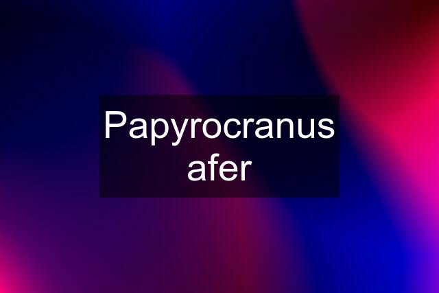 Papyrocranus afer