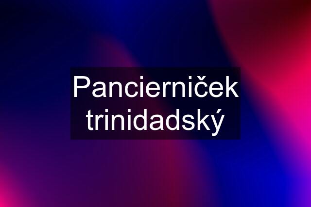 Pancierniček trinidadský
