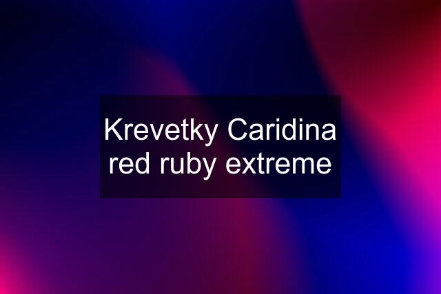 Krevetky Caridina red ruby extreme