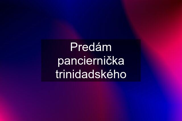 Predám panciernička trinidadského