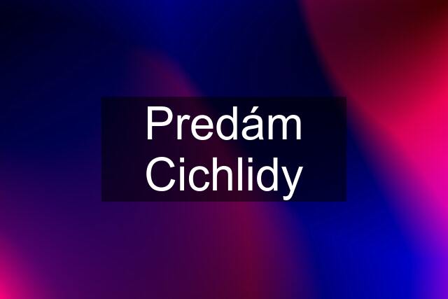 Predám Cichlidy