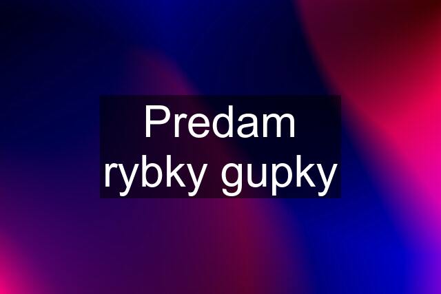 Predam rybky gupky