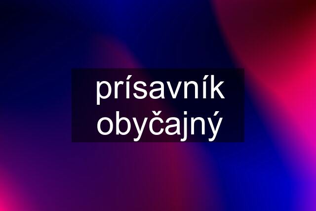 prísavník obyčajný